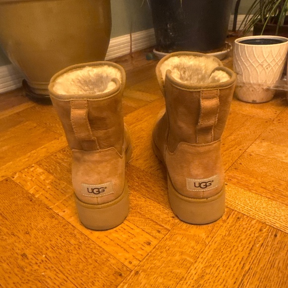 Brand new UGGs mini suede - Picture 2 of 5